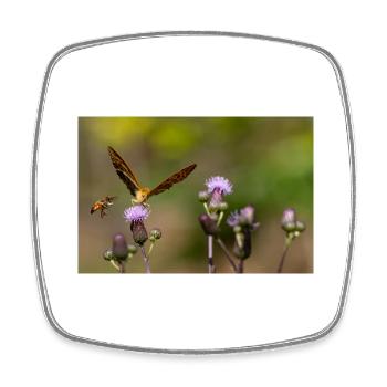 Silver-washed fritillary - Square fridge magnet - white - Front