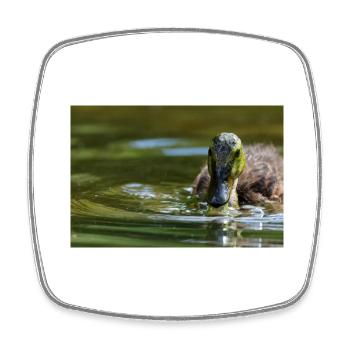 000 1170 DxO - Square fridge magnet - white - Front