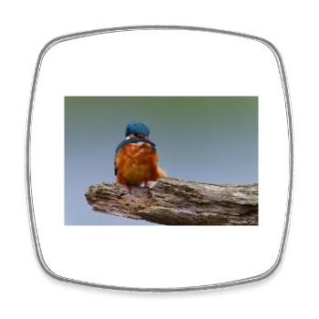 000 1475 DxO - Square fridge magnet - white - Front