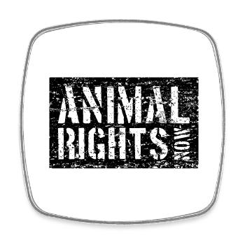 ANIMAL RIGHTS NOW VEGAN - Square fridge magnet - white - Front