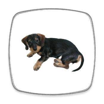 Cute puppy dog - Square fridge magnet - white - Front