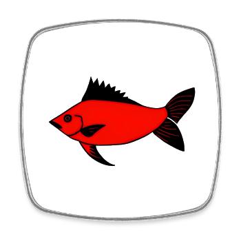 Expressionistischer Roter Trommler Fisch (Redfish) - Viereckiger Kühlschrankmagnet - Weiß - Vorne