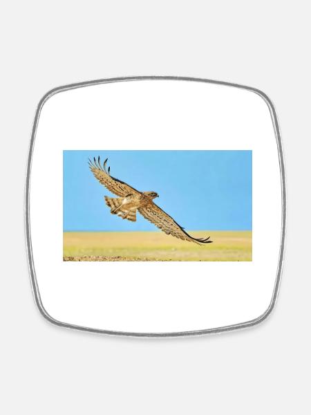 Eagle in Dasert - Square fridge magnet - white