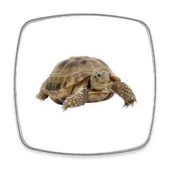 turtle schildkroete tiere animals7 - Viereckiger Kühlschrankmagnet - Weiß - Vorne