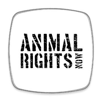 ANIMAL RIGHTS NOW - Viereckiger Kühlschrankmagnet - Weiß - Vorne