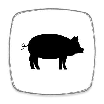 Schwein Pig - Square fridge magnet - white - Front