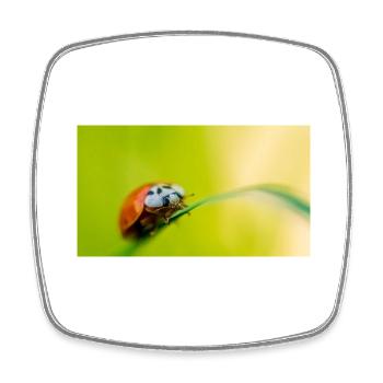 coccinelle - Magnet carré - blanc - Devant