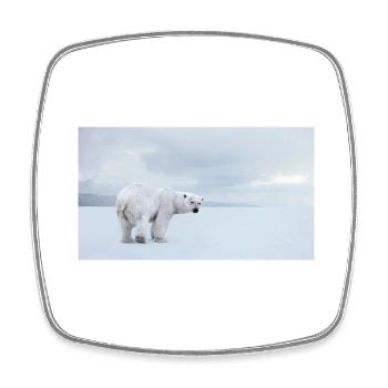 Majestueux ours polaire dans l’Arctique 🐻❄️ - Magnet carré - blanc - Devant