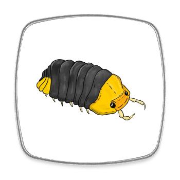 Cubaris sp Rubber Ducky, Nature Isopod Oase - Viereckiger Kühlschrankmagnet - Weiß - Vorne
