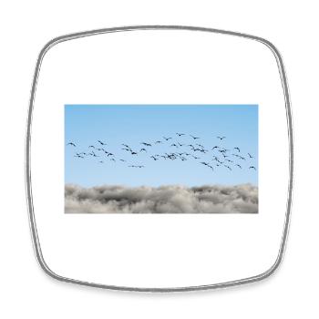 Über den Wolken Vögel - Viereckiger Kühlschrankmagnet - Weiß - Vorne