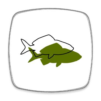 Goldfish - Square fridge magnet - white - Front