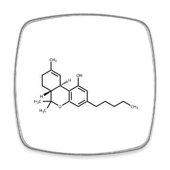 THC schwarz - Viereckiger Kühlschrankmagnet - Weiß - Vorne