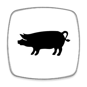 pig - Square fridge magnet - white - Front