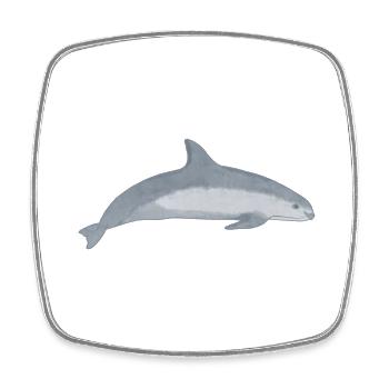 Vaquita Conservation Endangered species - Square fridge magnet - white - Front