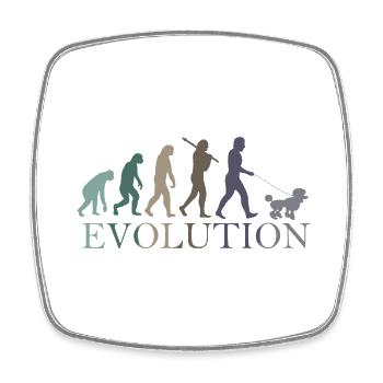 EVOLUTION PUDEL - Viereckiger Kühlschrankmagnet - Weiß - Vorne
