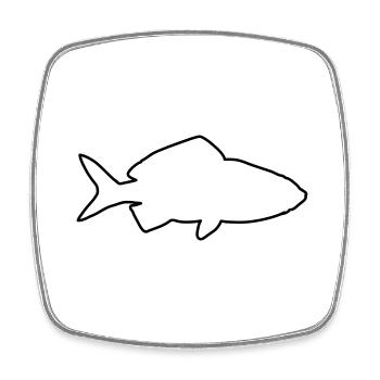 goldfisch 1 - Viereckiger Kühlschrankmagnet - Weiß - Vorne