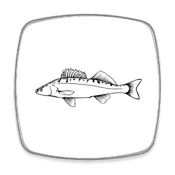 Zander Outline by Scuba.Style - Square fridge magnet - white - Front