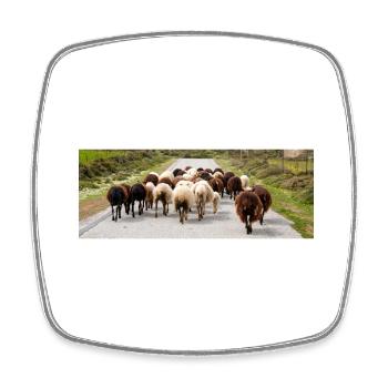Mountain Goat in the national park Park Kos Island - Square fridge magnet - white - Front