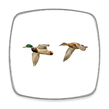 Couple de canards colverts en vol - Photographie - Magnet carré - blanc - Devant