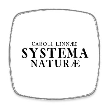 Systema Naturae - Viereckiger Kühlschrankmagnet - Weiß - Vorne