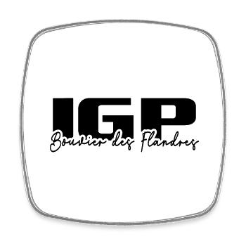 BOUVIER DES FLANDRES IGP Chien de sport Wilsigns - Magnet carré - blanc - Devant