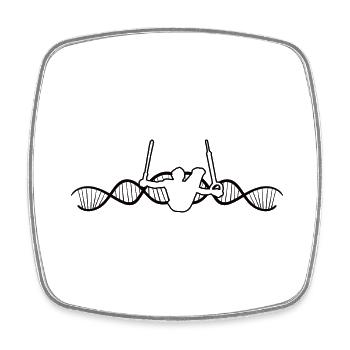 Gymnastics Floor exercises Apparatus gymnastics Gymnastics club - Square fridge magnet - white - Front