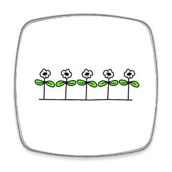 Five Pretty Daisies 5 Flowers Decorative Row - Square fridge magnet - white - Front