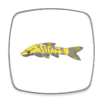 Zebra oto, Tiger oto wels. Otocinclus cocama - Viereckiger Kühlschrankmagnet - Weiß - Vorne