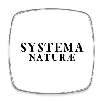 Systema Naturae - Viereckiger Kühlschrankmagnet - Weiß - Vorne