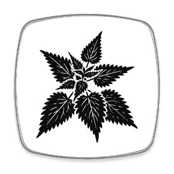 simple nettle design – wild & healing - Square fridge magnet - white - Front