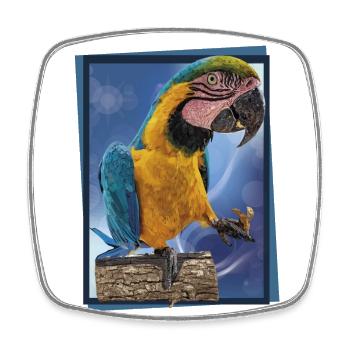 The blue and yellow macaw - Square fridge magnet - white - Front