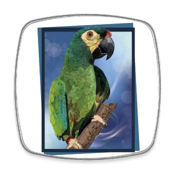 The Maracanã - Square fridge magnet - white - Front