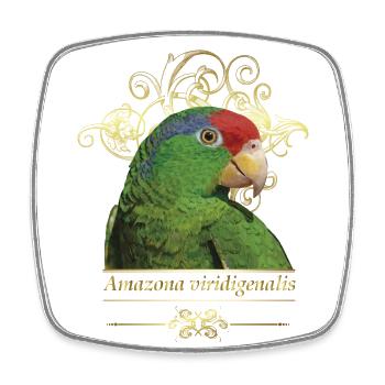 The Tamaulipas parrot - Square fridge magnet - white - Front