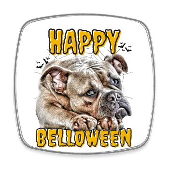 HAPPY BELLOWEEN Halloween Hund Hunde Bulldogge - Viereckiger Kühlschrankmagnet - Weiß - Vorne