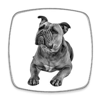 Bulldog Old English Bulldog Dog Dogs - Square fridge magnet - white - Front