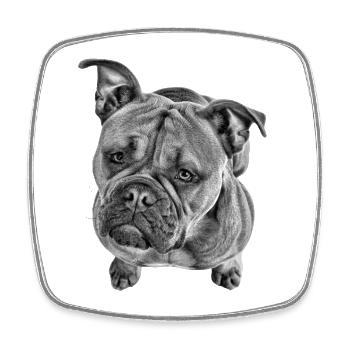Bulldog Old English Bulldog Dog Dogs - Square fridge magnet - white - Front