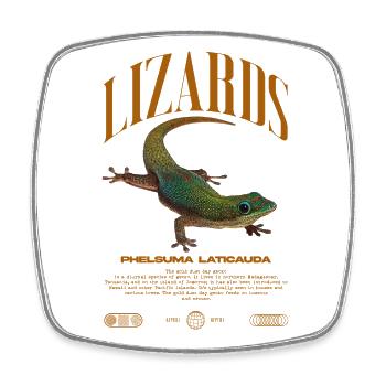 Phelsuma laticauda Day Gecko Lizard Keeper - Square fridge magnet - white - Front