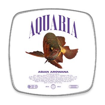 Asian Arowana Monster Fish Keeper Streetwear - Square fridge magnet - white - Front