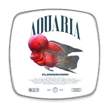 Flowerhorn Cichlid Fish Keeper Streetwear - Magnet carré - blanc - Devant