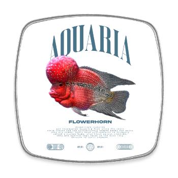 Flowerhorn Cichlid Fish Keeper Streetwear - Magnet carré - blanc - Devant
