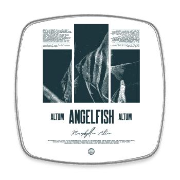 Altum Kaiserfisch Buntbarsch Aquarium Fischhalter - Viereckiger Kühlschrankmagnet - Weiß - Vorne
