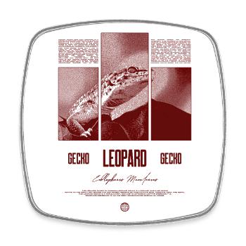 Leopard Gecko Reptile Keeper Streetwear - Square fridge magnet - white - Front