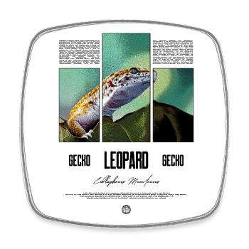 Leopard Gecko Reptile Keeper Streetwear - Square fridge magnet - white - Front