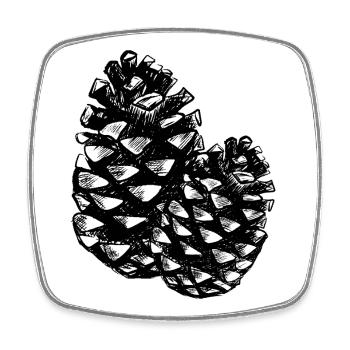 Two pine cones - Square fridge magnet - white - Front
