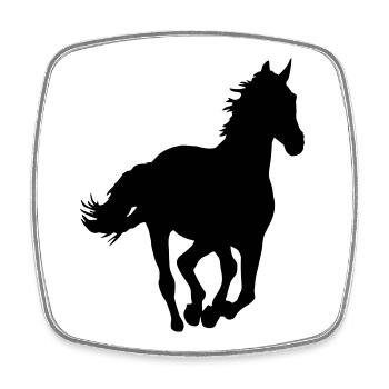 Ein Pferd. - Viereckiger Kühlschrankmagnet - Weiß - Vorne