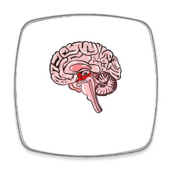 Wissenschaft Medizin Neurologie Gehirn - Viereckiger Kühlschrankmagnet - Weiß - Vorne