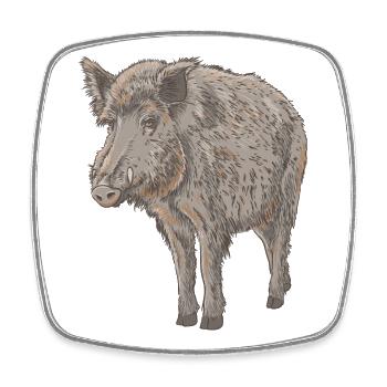 Boar - Square fridge magnet - white - Front