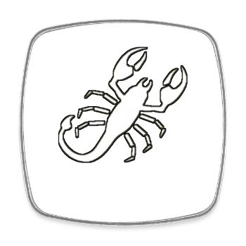 Skorpion - Viereckiger Kühlschrankmagnet - Weiß - Vorne