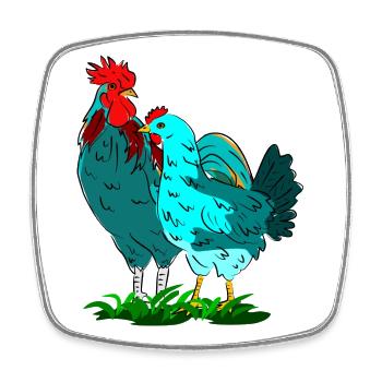 Bunte Hahnen- und Huhn-Kombination - Viereckiger Kühlschrankmagnet - Weiß - Vorne