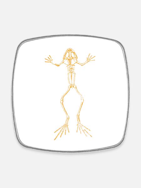 Squelette de grenouille - Magnet carré - blanc